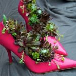 succulent-garden-ideas-6-500×416