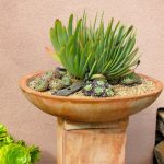 succulent-garden-ideas-9-500×500
