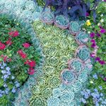 you-could-solve-different-landscape-taks-with-succulents-as-effective-as-with-other-plants