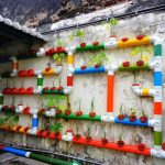 20 + Cool Vertical Garden Ideas
