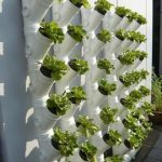 20 + Cool Vertical Garden Ideas