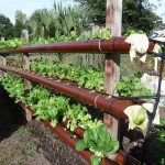 20 + Cool Vertical Garden Ideas 21