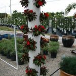 20 + Cool Vertical Garden Ideas