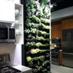 20 + Cool Vertical Garden Ideas