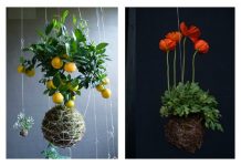 DIY Hanging String Garden