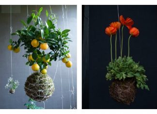 DIY Hanging String Garden