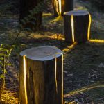 cracked log lamps