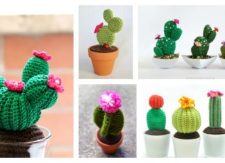 10+ Desert Cactus Amigurumi Crochet Patterns – Look Surprisingly Real