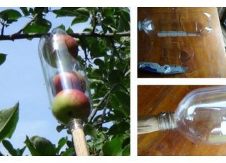 DIY Soda Bottle Apple Picker