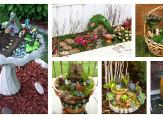8 Amazing Miniature Fairy Garden DIY Ideas