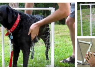 DIY Custom Dog Washer Out of PVC Piping (Video)