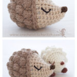 Diddy Hedgehog Free Crochet Pattern and Video Tutorial