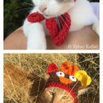 Cat or Small Dog Turkey Hat Free Crochet Pattern