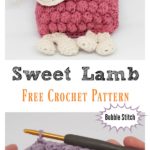 Sweet Bubble Stitch Ragdoll Lamb Free Crochet Pattern