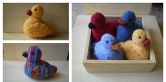 Adorable Duckling Free Knitting Pattern