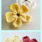 Dogwood Blossoms Free Knitting Pattern and Video Tutorial