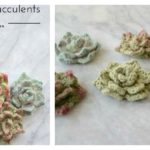 Succulents Free Crochet Pattern