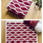 Tunisian Waves Washcloth Free Crochet Pattern