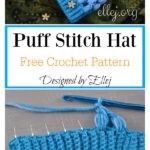 Baby Puff Stitch Hat Free Crochet Pattern