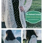 The Blathnaid Cardigan FREE Crochet Pattern All Sizes