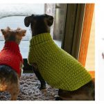 Dog Coat Free Crochet Pattern