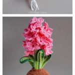 Amigurumi Hyacinth Flower Bulb Free Crochet Pattern