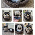 Owl with Hatching Owlet Crochet Pattern