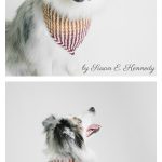 Mountain Dog Bandana Free Crochet Pattern