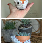 Shark Plant Cozy Free Crochet Pattern