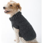 The Poet Dog Sweater Free Crochet Pattern