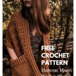 Harvest Moon Pocket Shawl Free Crochet Pattern and Video Tutorial