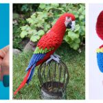 Adorable Parrot Amigurumi Crochet Patterns