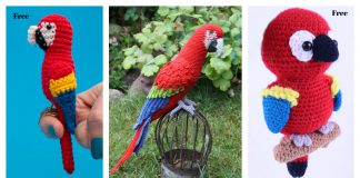 Adorable Parrot Amigurumi Crochet Patterns
