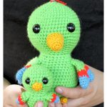 Parrots Free Crochet Pattern