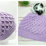 Snowbird Hat Free Crochet Pattern and Video Tutorial