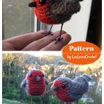 Lifelike Robin Crochet Pattern