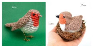 Robin Bird Amigurumi Crochet Patterns
