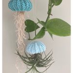 Sea urchin Air Plant Holder Free Crochet Pattern