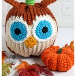 Owl Pumpkin Free Crochet Pattern