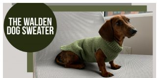 The Walden Dog Sweater Free Crochet Pattern