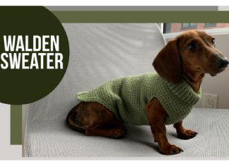 The Walden Dog Sweater Free Crochet Pattern