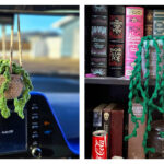 Mini Hanging Plant Crochet Patterns