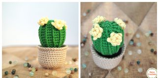 Barrel cactus Amigurumi Free Crochet Pattern