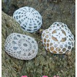 Lacy River Rocks Free Crochet Pattern