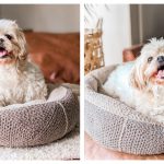 Modern Pet Dog Bed Free Crochet Pattern