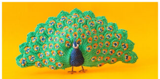 Realistic Peacock Amigurumi Crochet Pattern