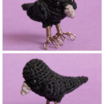 Raven Crow Amigurumi Free Crochet Pattern