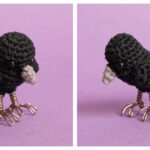 Raven Crow Amigurumi Free Crochet Pattern