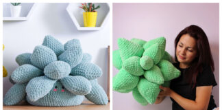 Succulent Pillow Crochet Patterns