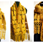 Dragonfly Shawl Free Crochet Pattern and Video Tutorial